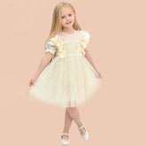 Lilax Kız Çocuk Tüllü Brode Elbise (2-5 Yaş)