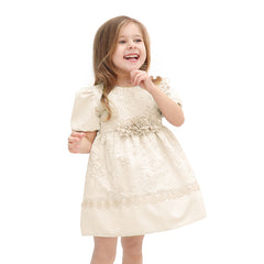 Lilax Girl's Floral Jacquard Lace Embroidery Detailed Dress (2-5) Age