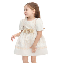 Lilax Girl's Floral Jacquard Lace Embroidery Detailed Dress (2-5) Age