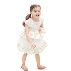 Lilax Girl's Floral Jacquard Tulle Skirt Dress (2-5) Age